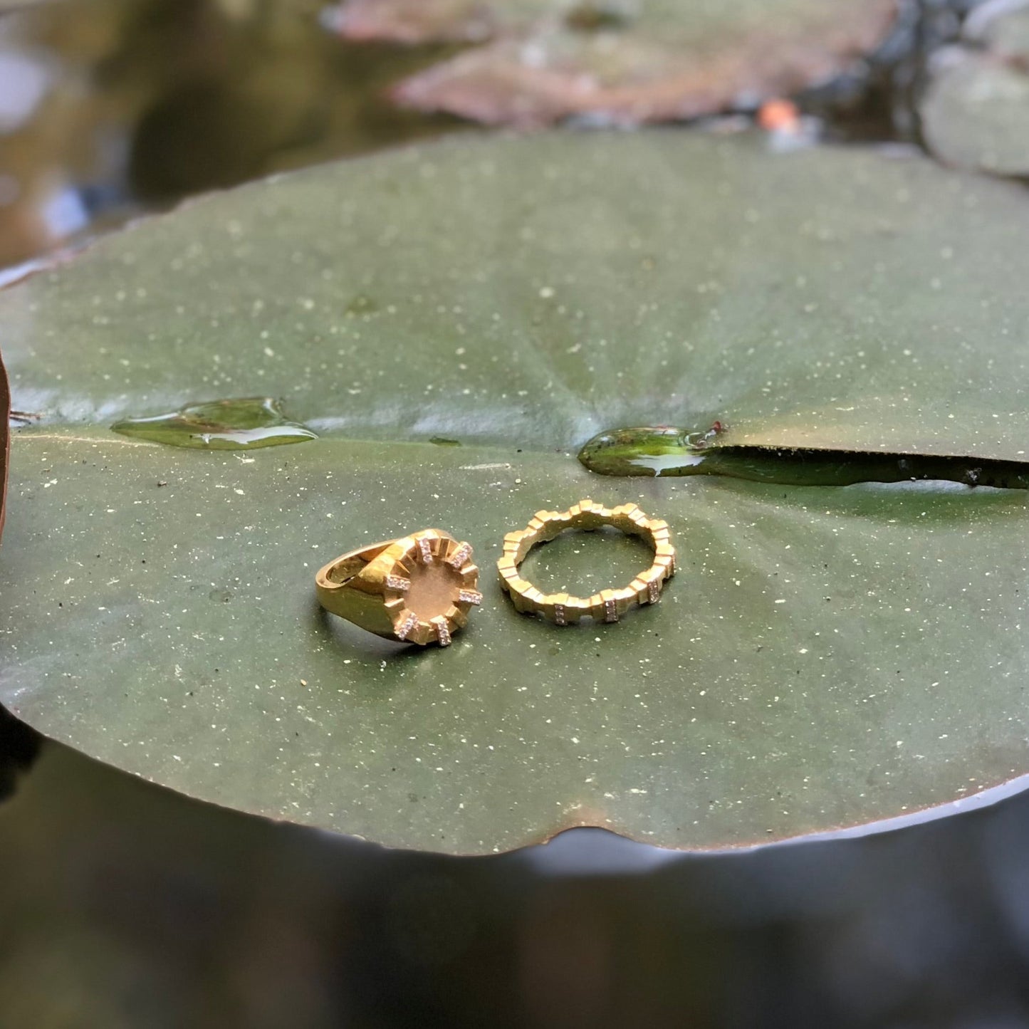 Tarrah signet diamond ring